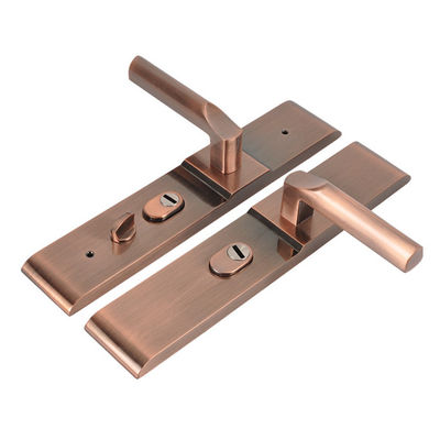 Kirsite Die Casting Precision Injection Molding Mirror Polishing Door Lock Shell Accessories