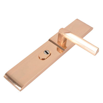 Kirsite Die Casting Precision Injection Molding Mirror Polishing Door Lock Shell Accessories